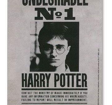 Harry Potter Tin Sign Undesirable No. 1 15 x 21 cm For Cheap