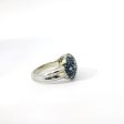 14K White Gold Pave Sapphire and Diamond Ring Fashion