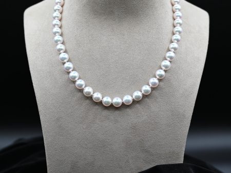 Fresh Water Cultured White Pearl Necklace with 18k Yellow Gold Diamond Accent Clasp Online now