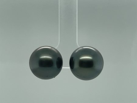 14mm Black Tahitian Pearl Stud Earrings on Sale