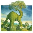 SCALE THE SUMMIT - THE MIGRATION Sale